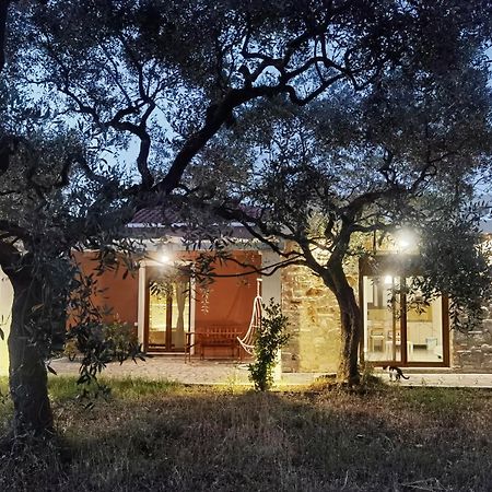 Elea Stone Houses In Organic Quiet Olive Grove, Prinos, Thassos Exteriör bild