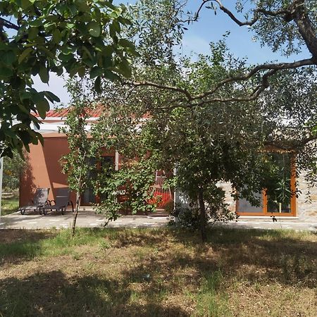 Elea Stone Houses In Organic Quiet Olive Grove, Prinos, Thassos Rum bild