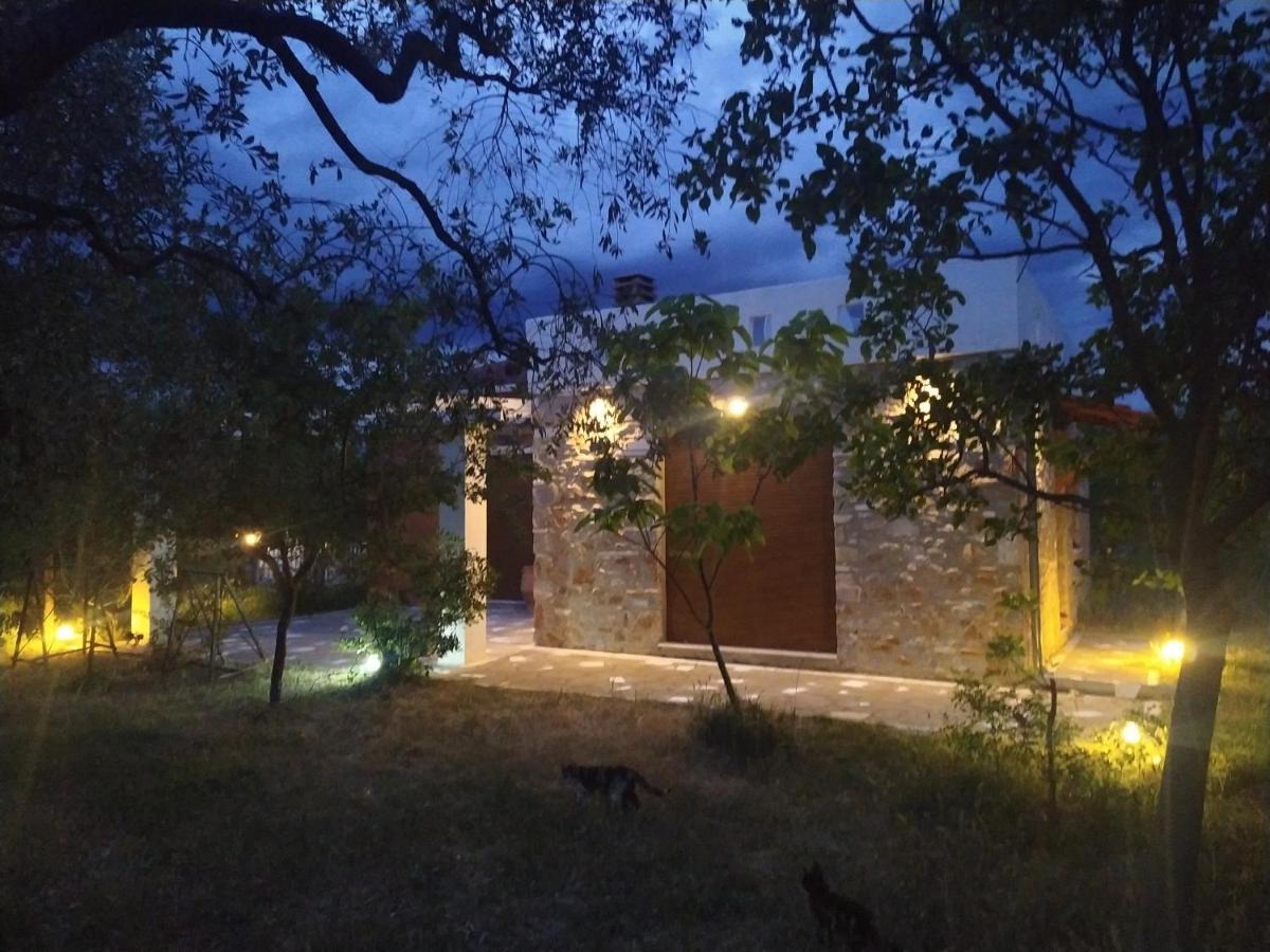 Elea Stone Houses In Organic Quiet Olive Grove, Prinos, Thassos Exteriör bild