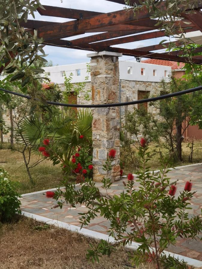 Elea Stone Houses In Organic Quiet Olive Grove, Prinos, Thassos Exteriör bild