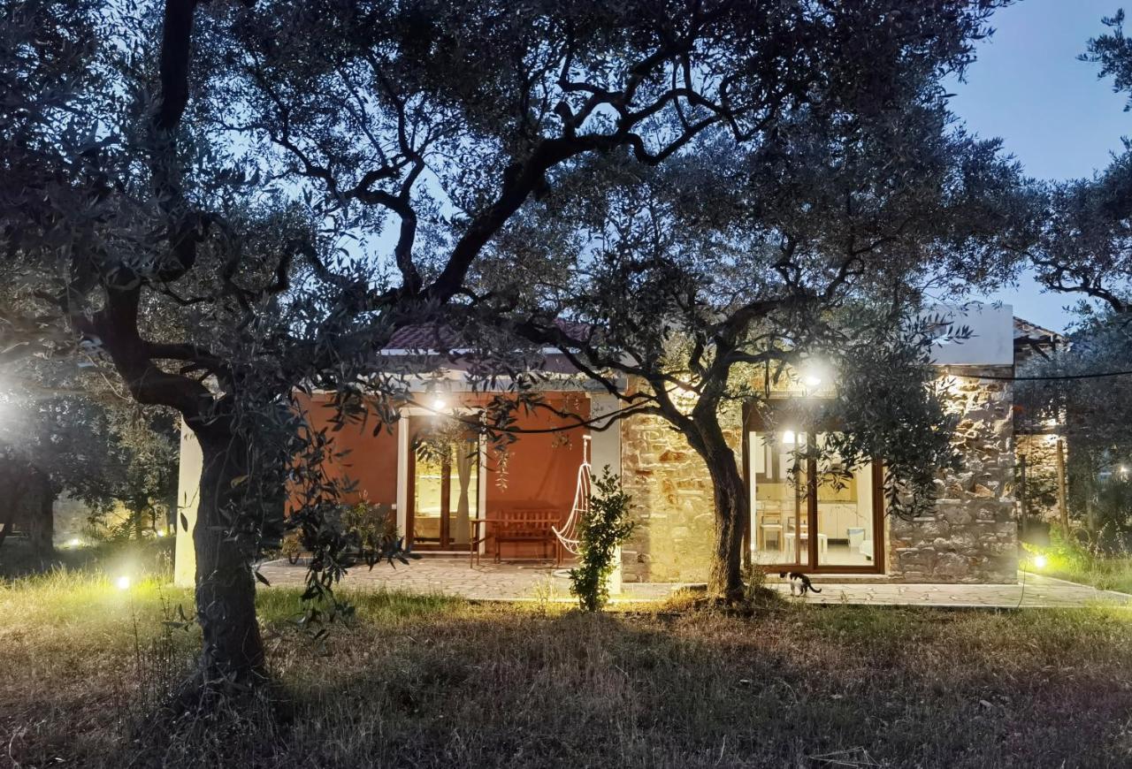 Elea Stone Houses In Organic Quiet Olive Grove, Prinos, Thassos Exteriör bild