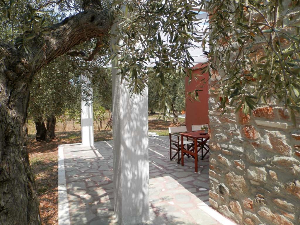 Elea Stone Houses In Organic Quiet Olive Grove, Prinos, Thassos Exteriör bild