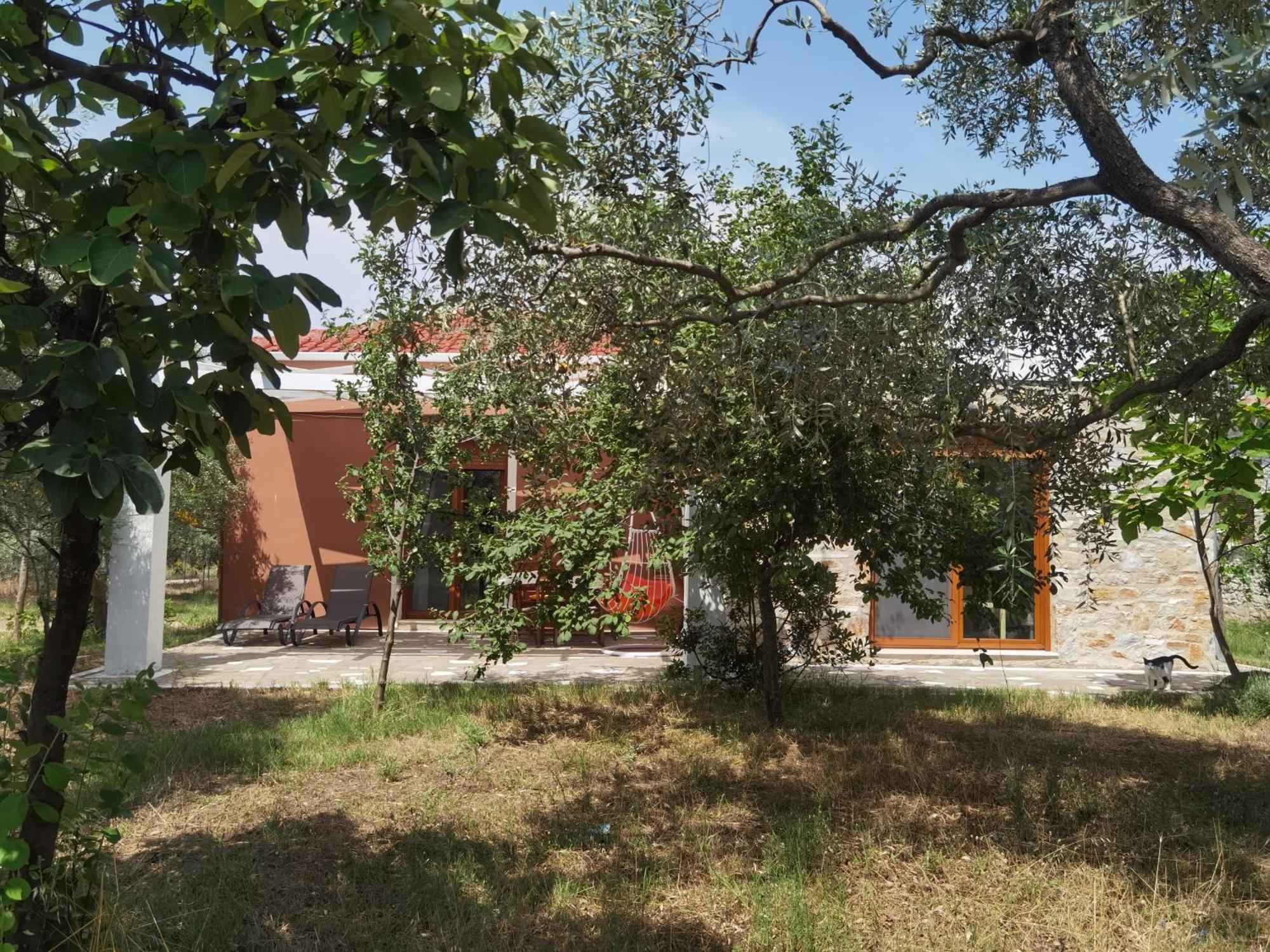 Elea Stone Houses In Organic Quiet Olive Grove, Prinos, Thassos Rum bild