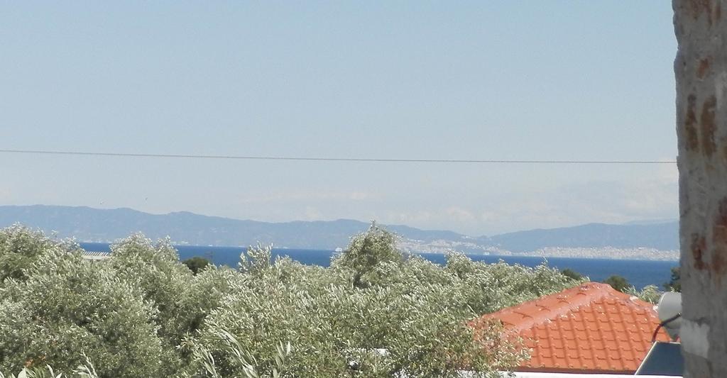 Elea Stone Houses In Organic Quiet Olive Grove, Prinos, Thassos Exteriör bild