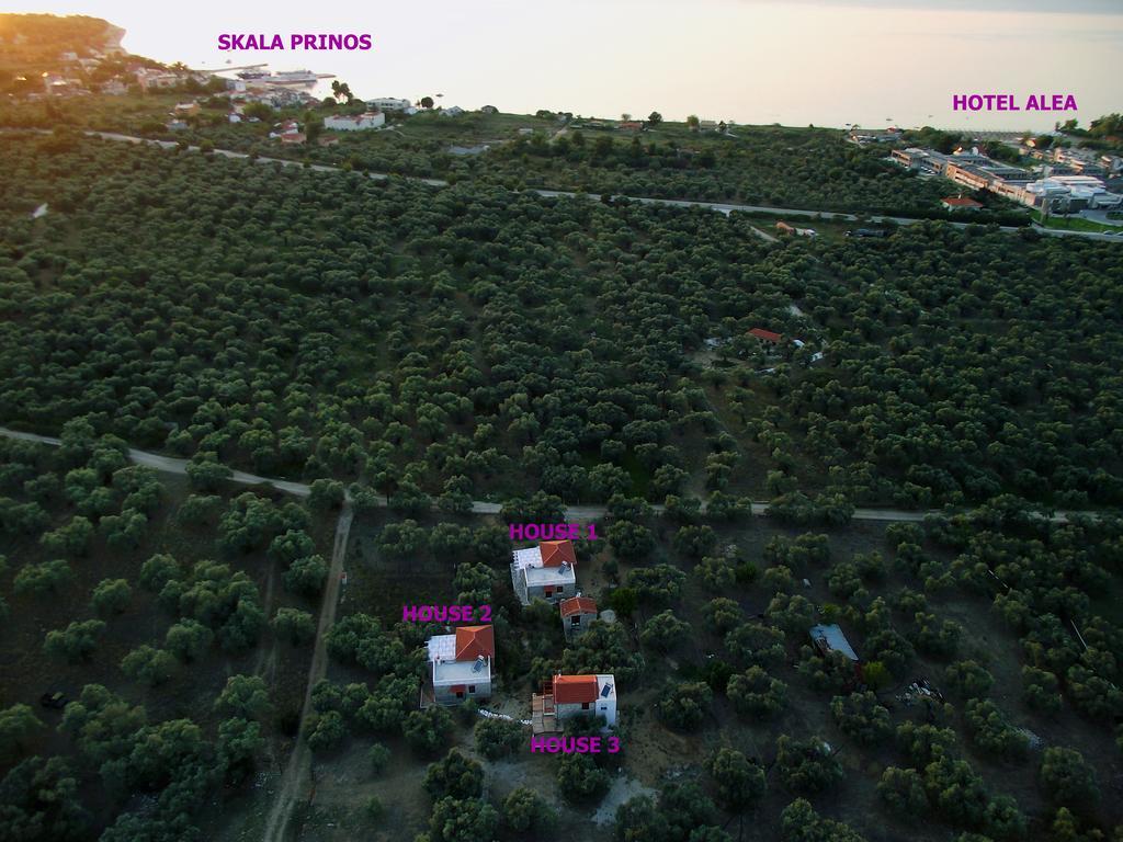 Elea Stone Houses In Organic Quiet Olive Grove, Prinos, Thassos Exteriör bild