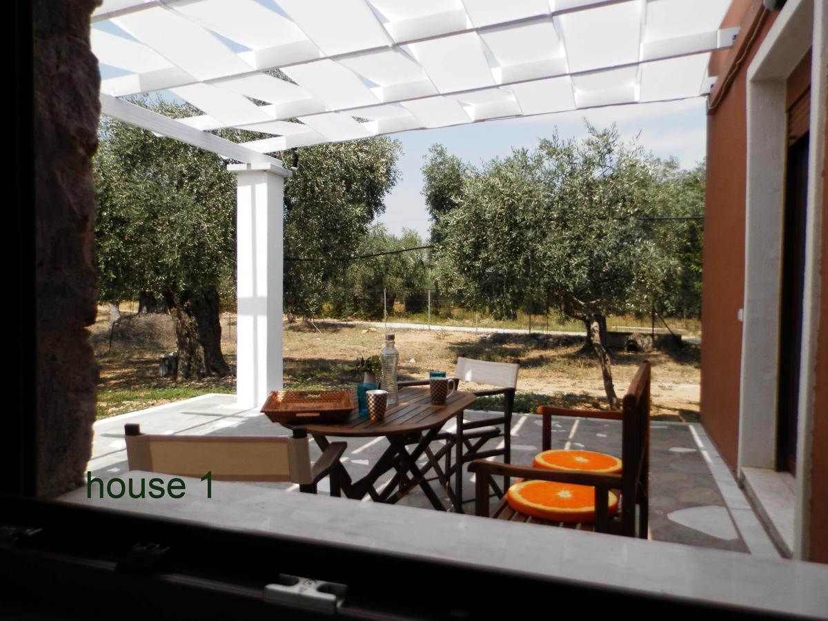 Elea Stone Houses In Organic Quiet Olive Grove, Prinos, Thassos Exteriör bild