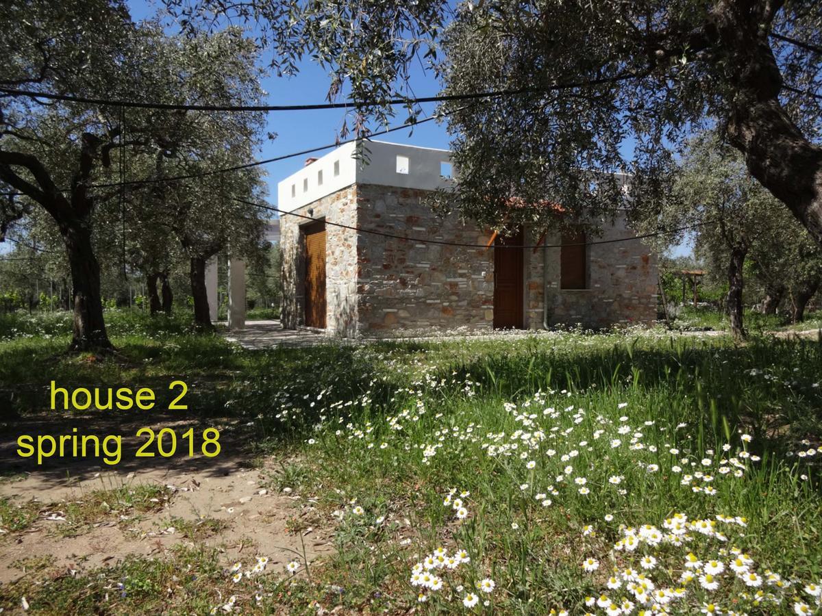 Elea Stone Houses In Organic Quiet Olive Grove, Prinos, Thassos Exteriör bild