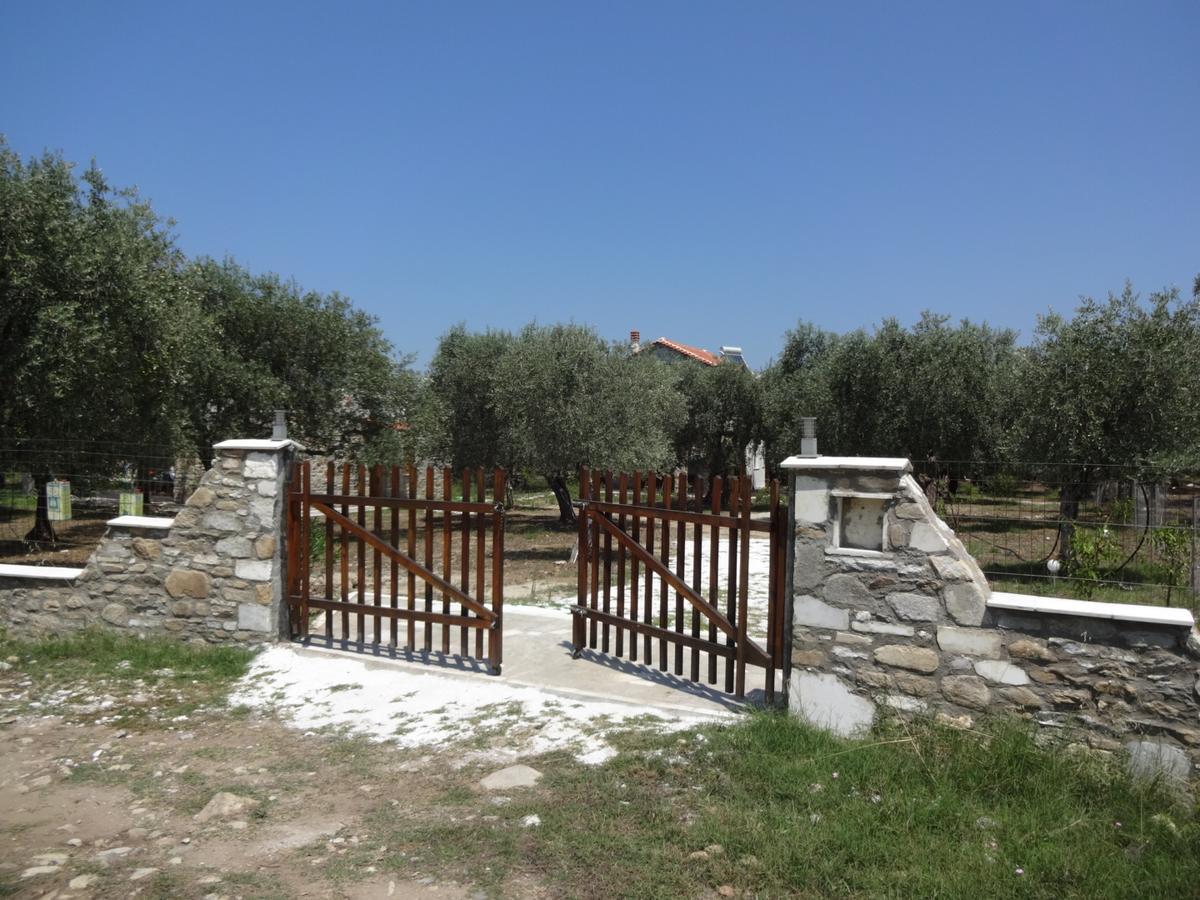Elea Stone Houses In Organic Quiet Olive Grove, Prinos, Thassos Exteriör bild